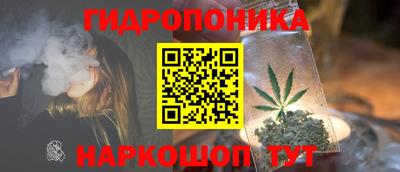 дурь Тара