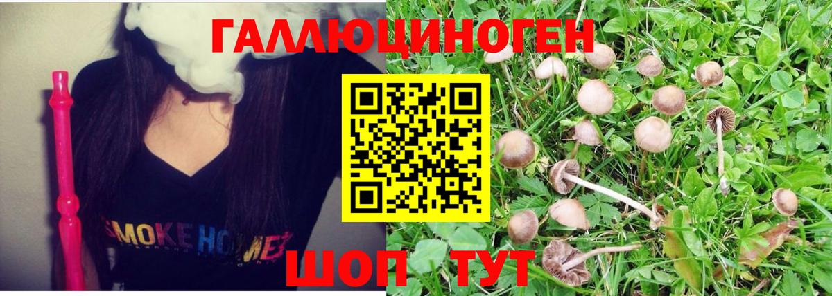 Галлюциногенные грибы MAGIC MUSHROOMS  что такое   Новосибирск  Вход с VPN 