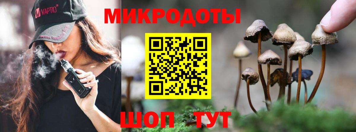 Галлюциногенные грибы GOLDEN TEACHER Новосибирск